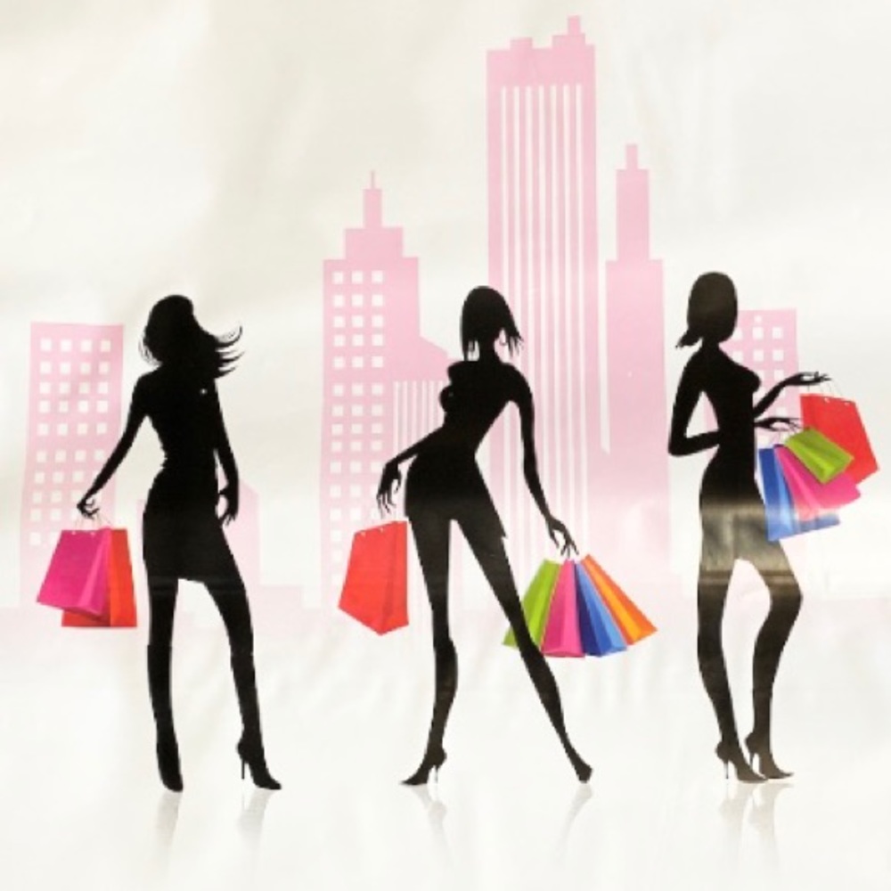 50 14X19 Shopping Girls Poly Mailers CLEARANCE - Picture 5 of 5